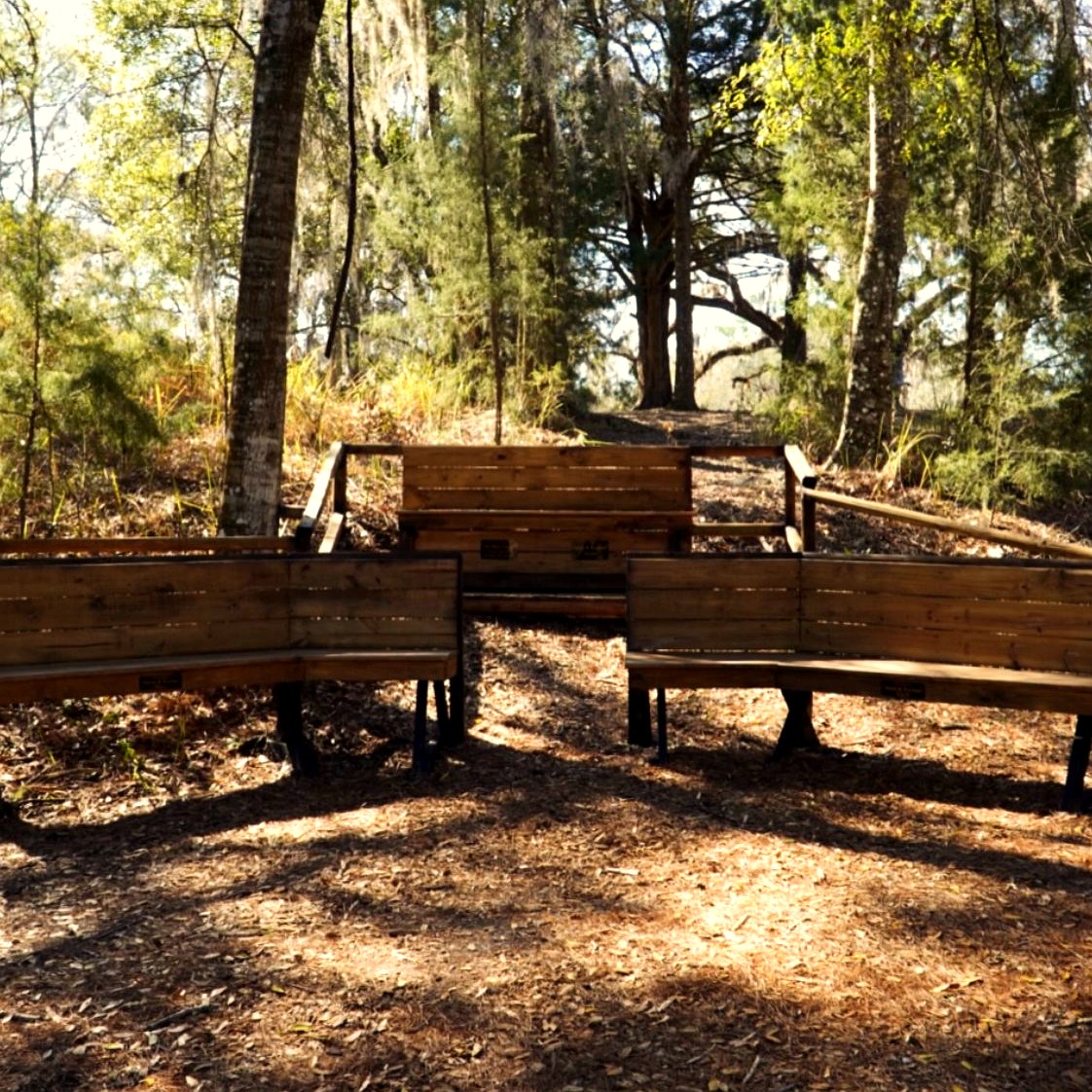 Spectator Benches